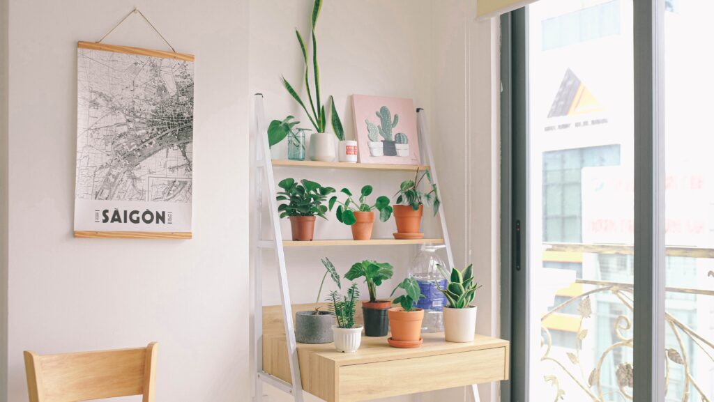 room with indoor plants
